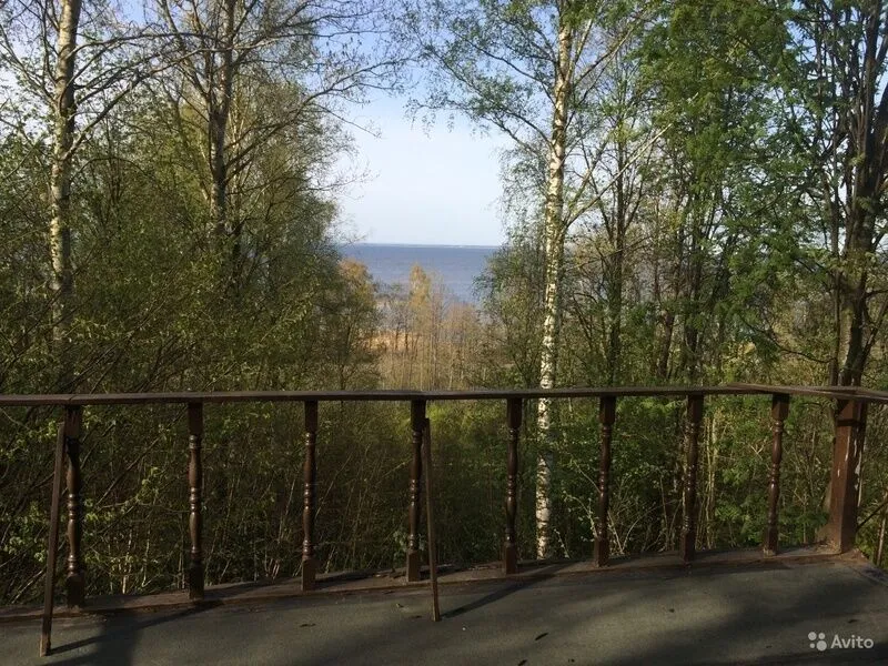 Дубки, Ленинградская область: фото 4