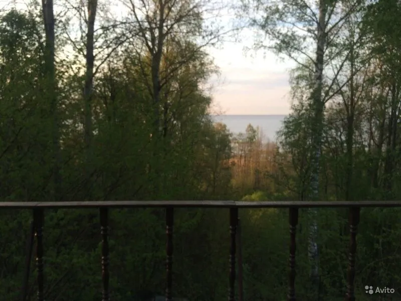 Дубки, Ленинградская область: фото 5