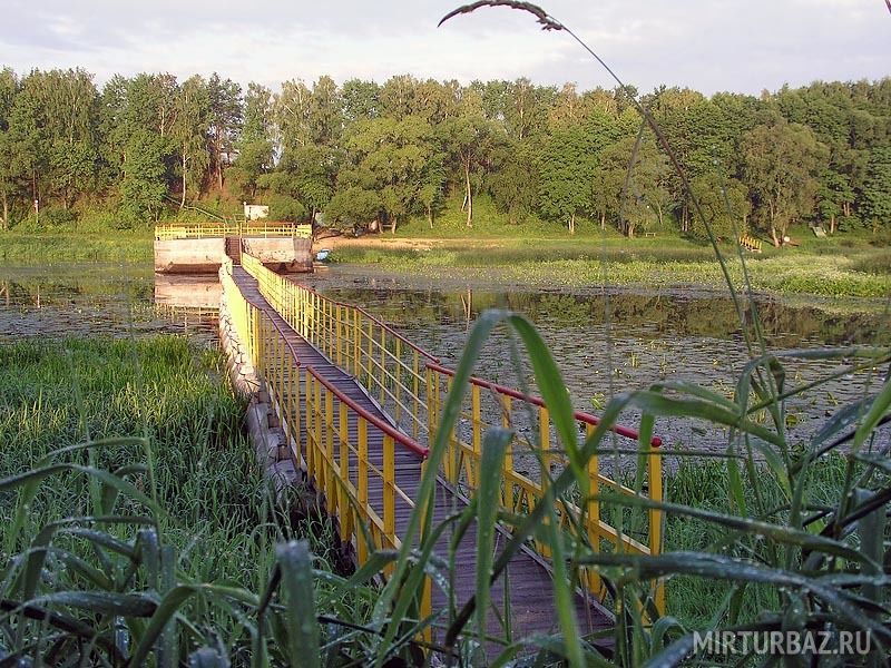 Милоград, Гомельская область: фото 4