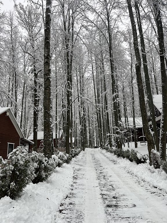 Фото из отзыва от 22.11.2024