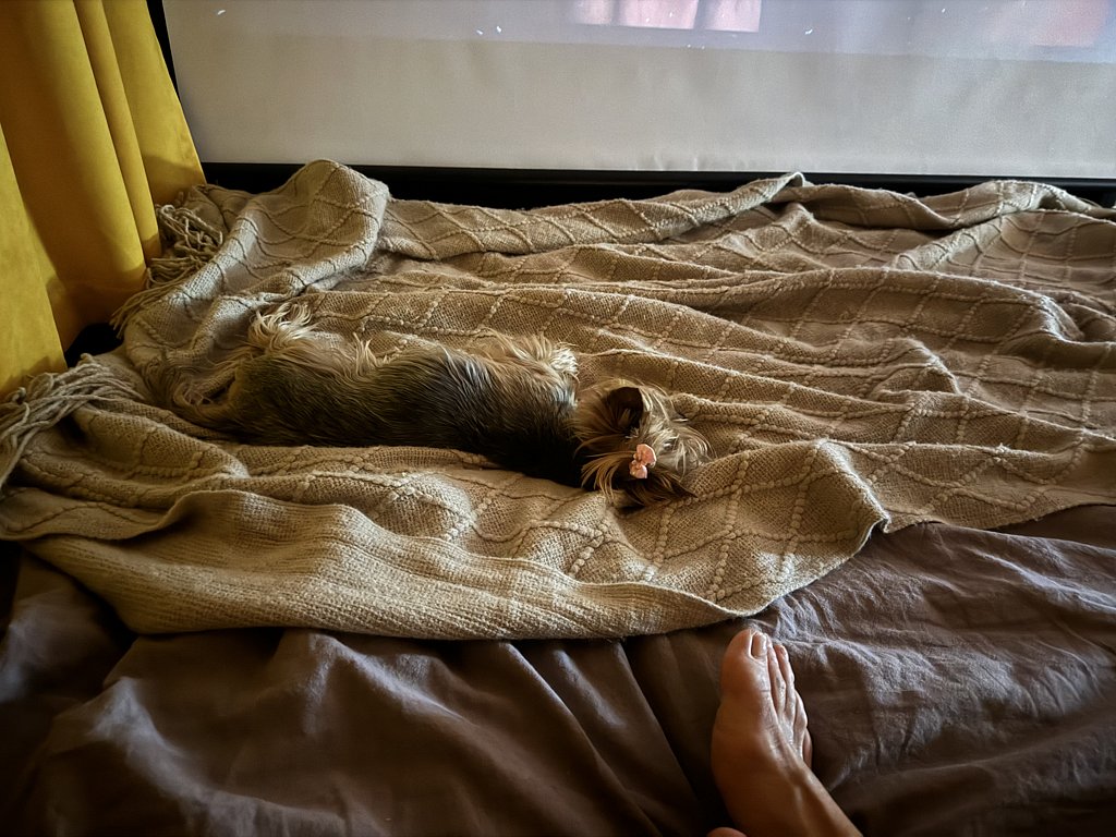 Фото из отзыва от 22.11.2024