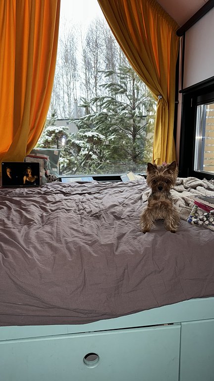 Фото из отзыва от 22.11.2024