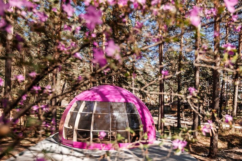 Лесная Лагуна, Горный Алтай (Республика Алтай): фото 2