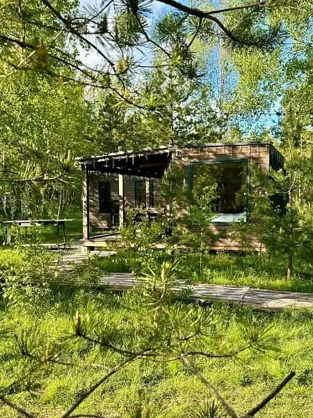 Клюква, Рязанская область: фото 3