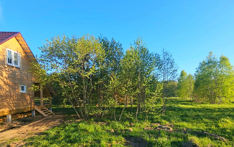 Олин лес, Тверская область: фото 2