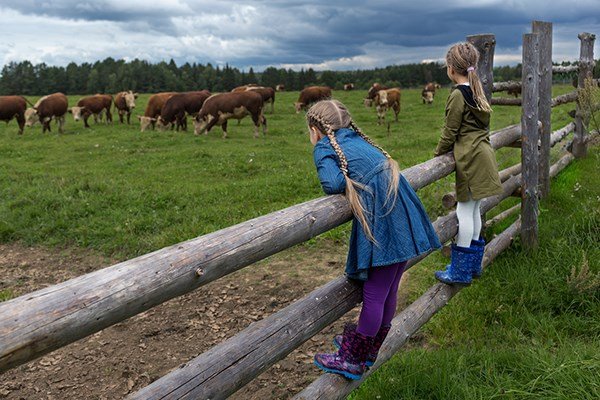 Ордино, Тверская область: фото 4