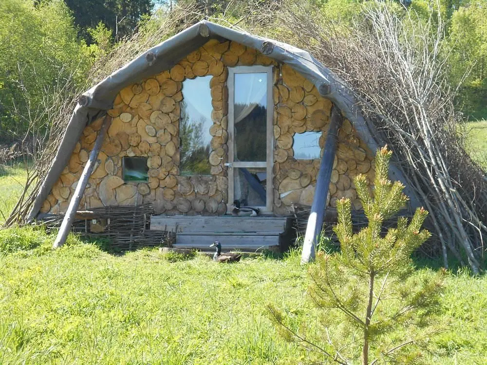 Мишкина сказка, Республика Карелия: фото 3