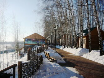 Территория зимой | Берёзовая роща, Ульяновская область