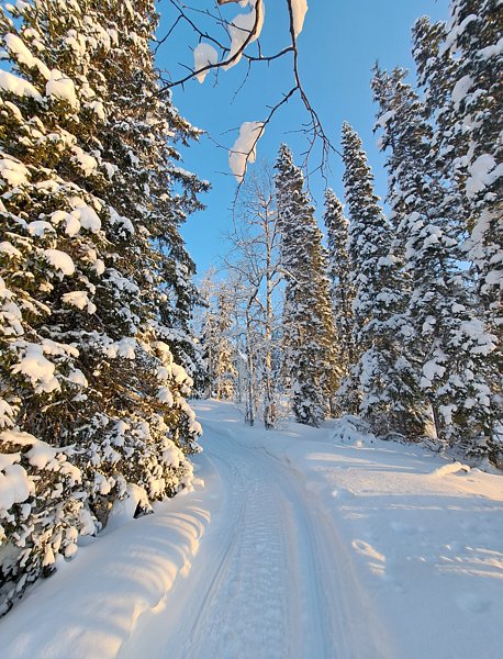 Товское озеро , Архангельская область: фото 5