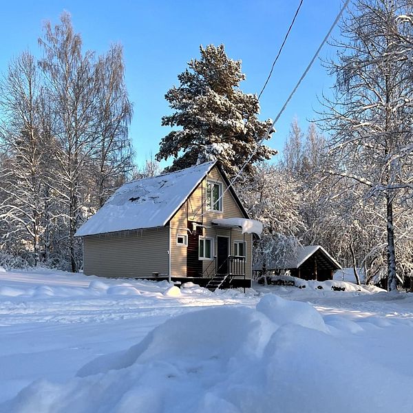 Кот Матроскин, Ленинградская область: фото 3