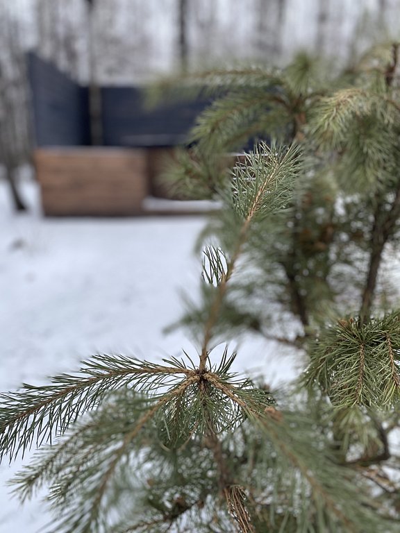 Фото из отзыва от 11.12.2024