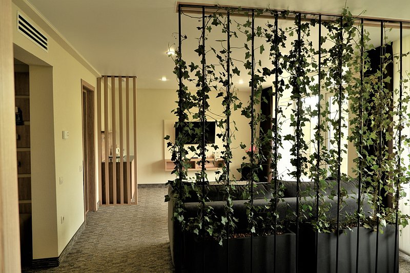 Люкс 2-местный 2-комнатный (VIP корпус 1)