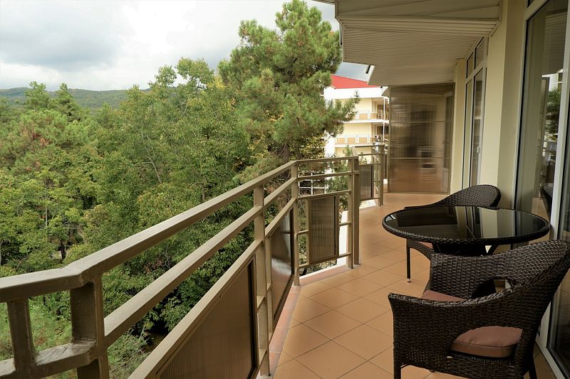 Люкс 2-местный 2-комнатный (VIP корпус 1)