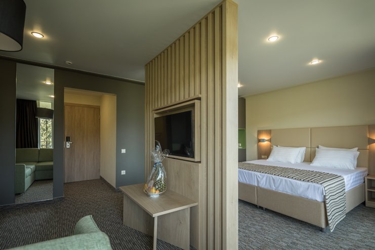 Люкс 4-местный 2-комнатный (VIP корпус 2)