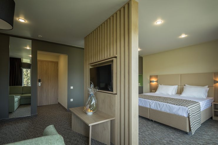 Люкс 4-местный 2-комнатный (VIP корпус 2)