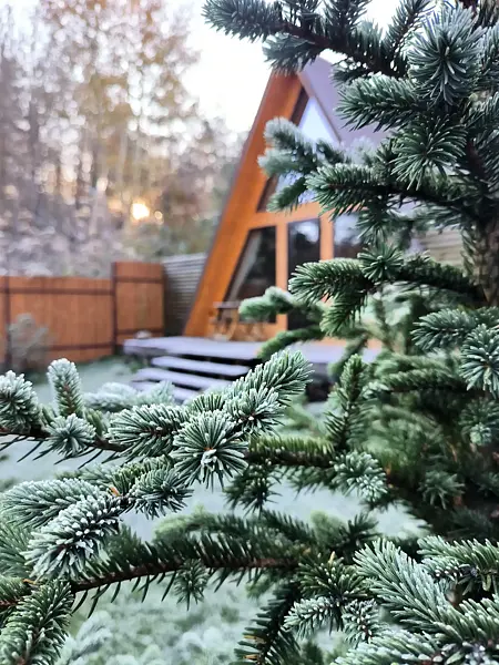 Дача у горы, Республика Адыгея: фото 3