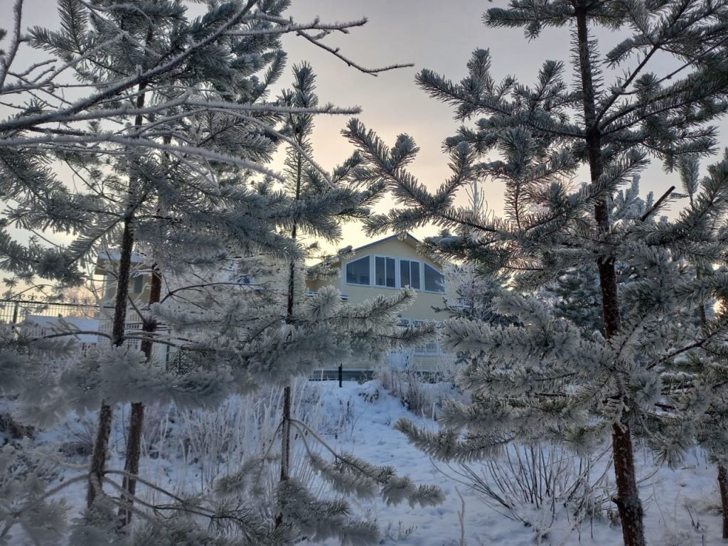 Kodi järvi, Республика Карелия: фото 4