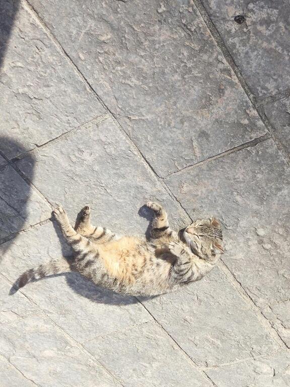 Отель Тест отель (НЕ ЯВЛЯЕТСЯ ОТЕЛЕМ - НЕ ДЛЯ БРОНИРОВАНИЯ) 🎅, Иркутская область, Белогорск 