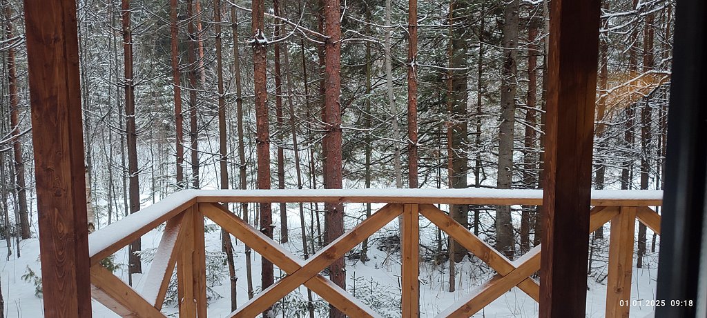 Фото из отзыва от 31.12.2024