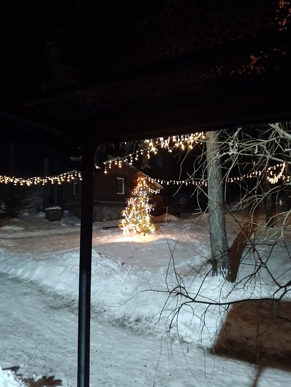 Фото из отзыва от 02.01.2025