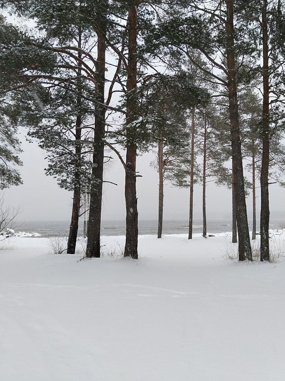 Фото из отзыва от 31.12.2024