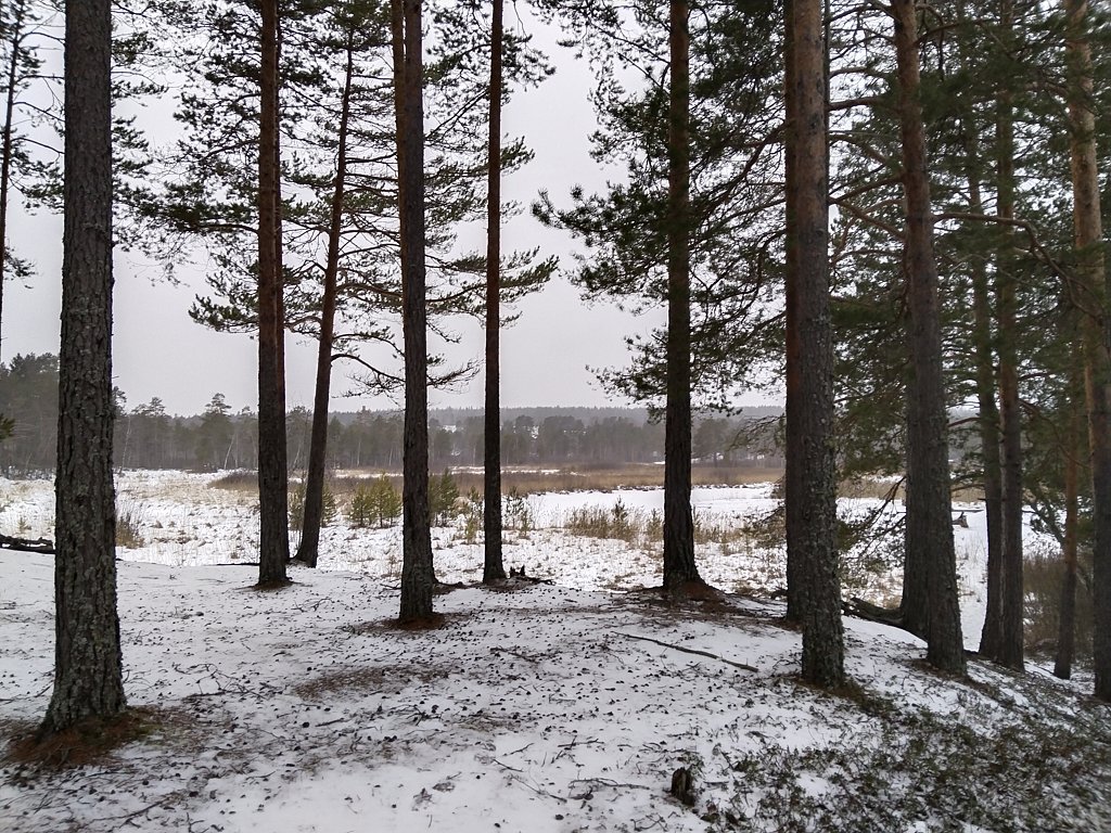 Фото из отзыва от 31.12.2024