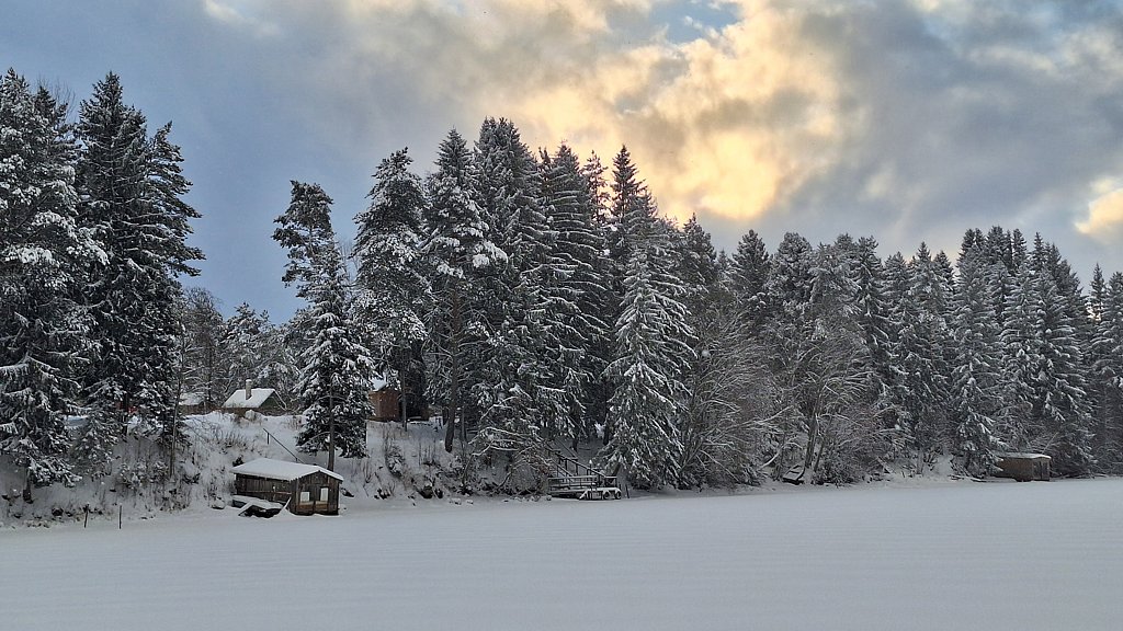 Фото из отзыва от 04.01.2025