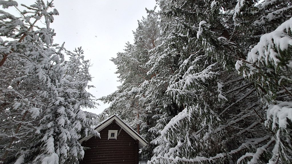 Фото из отзыва от 04.01.2025