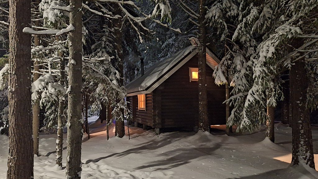 Фото из отзыва от 04.01.2025