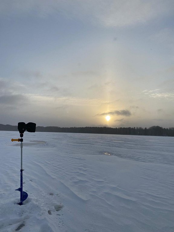 Фото из отзыва от 29.12.2024