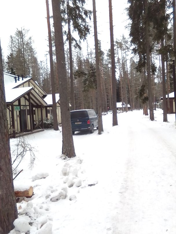 Фото 6 из отзыва о базе отдыха Ильичево