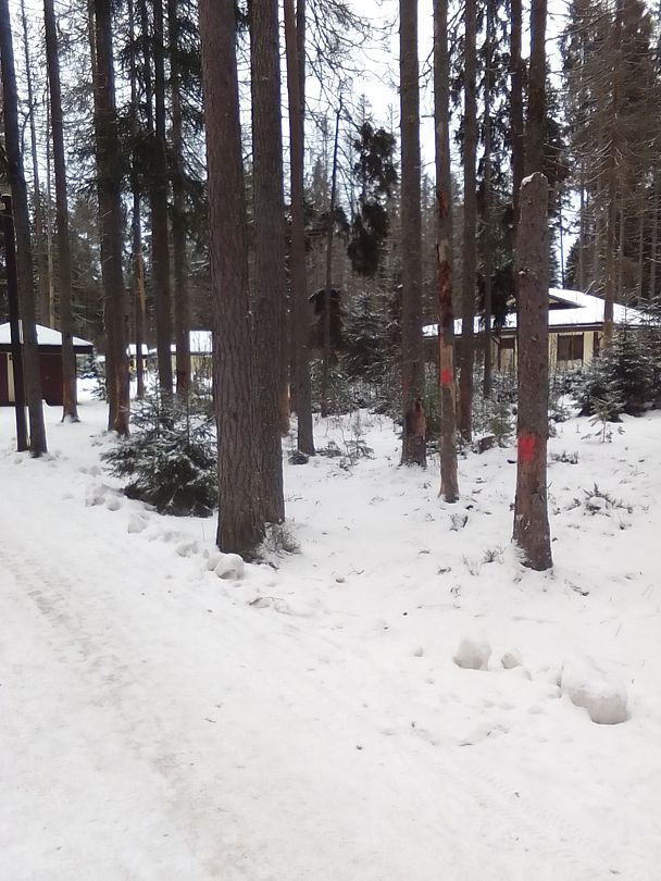 Фото 7 из отзыва о базе отдыха Ильичево