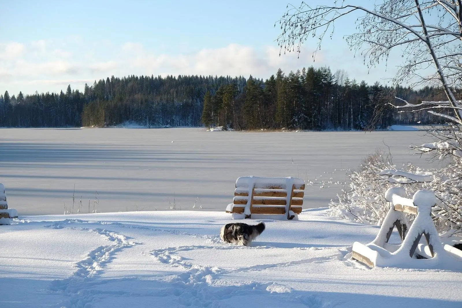 Хюгге Кэмп Карелия, Республика Карелия: фото 5