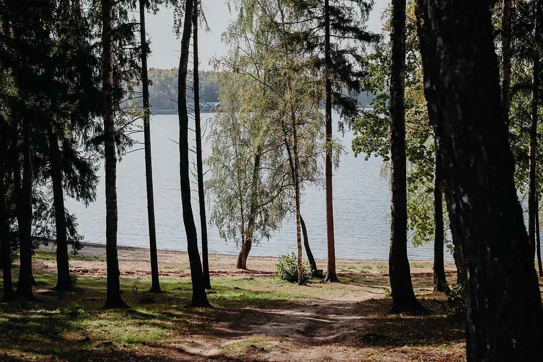 VETVI HOME, Московская область: фото 5