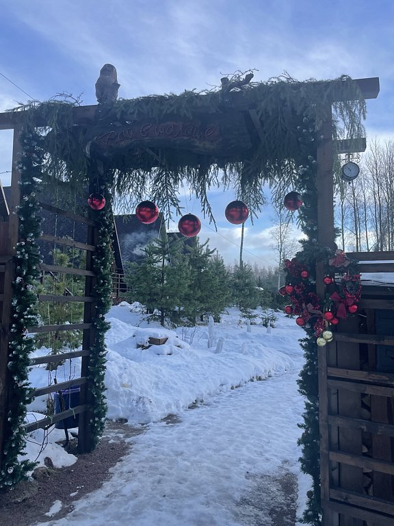 Фото из отзыва от 16.01.2025