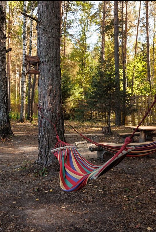 Ёлки, Тюменская область: фото 5