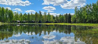 Глэмпинг Домик в соснах
