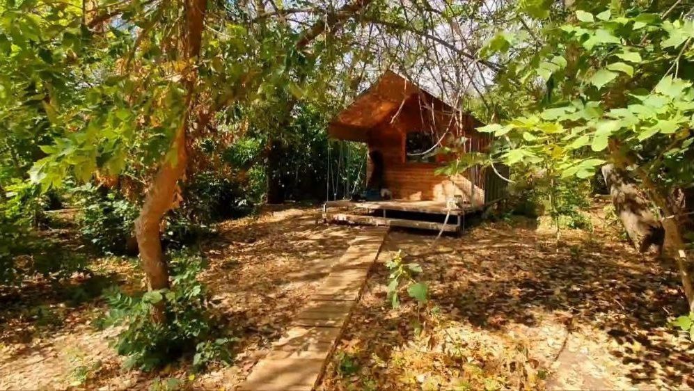 Звезда на Ахтубе, Астраханская область: фото 2