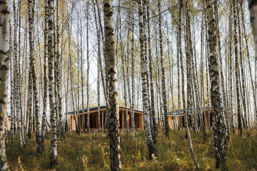 Norke Есенинская русь, Рязанская область: фото 4