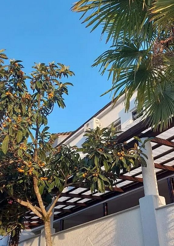 У Дарьи, Краснодарский край: фото 3