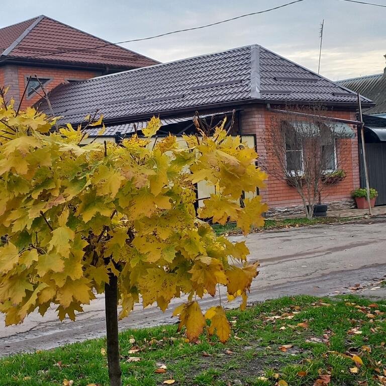 Гостевой дом Дом с садом на Камышановых, Ейск, Краснодарский край