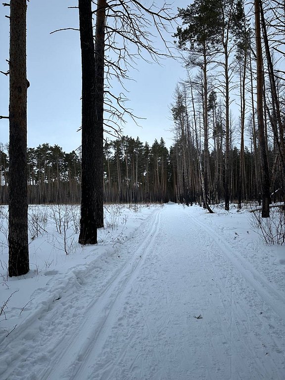 Фото из отзыва от 04.02.2025