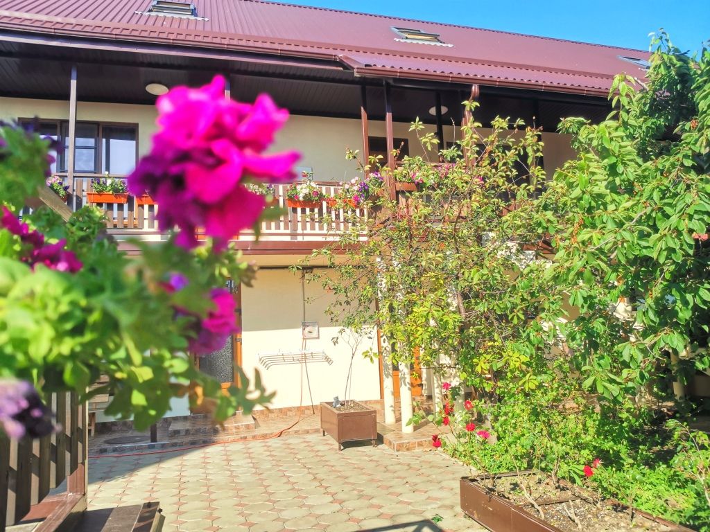 Эллис, Краснодарский край: фото 2