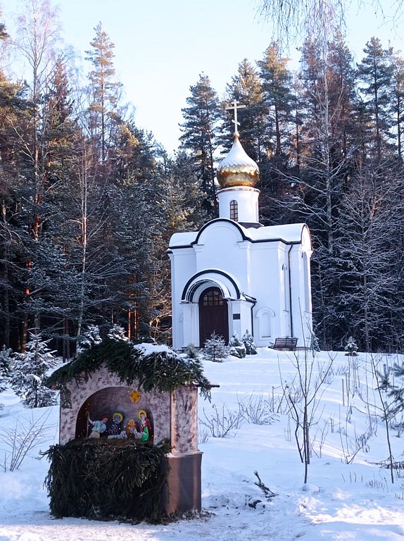 Фото из отзыва от 31.01.2025