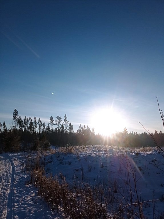 Фото из отзыва от 31.01.2025