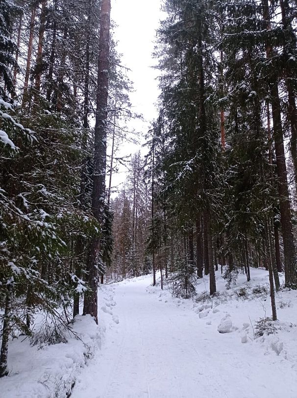 Фото 8 из отзыва о базе отдыха Ильичево