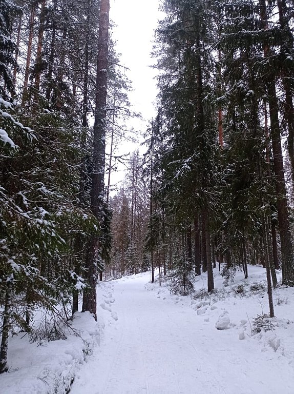 Фото из отзыва от 31.01.2025