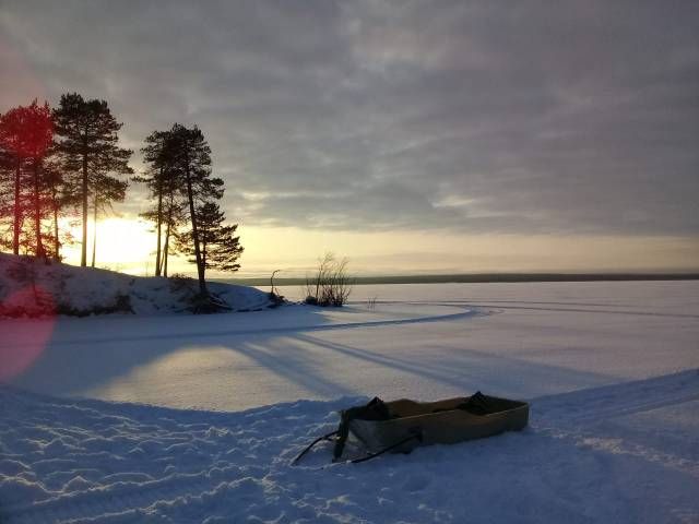 Гостевые дома Дикая Клюква, Республика Карелия: фото 5
