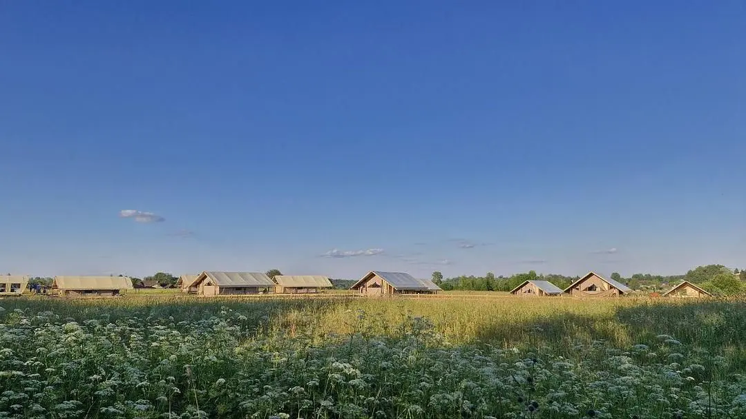 Глэмпинг Носороги, Сорога, Тверская область