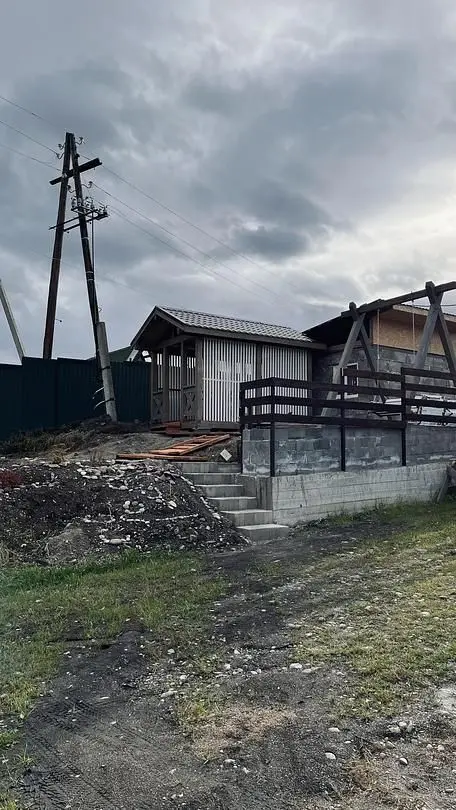 Катунская синица, Горный Алтай (Республика Алтай): фото 5